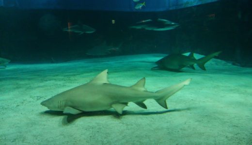 望む現実は創られていく